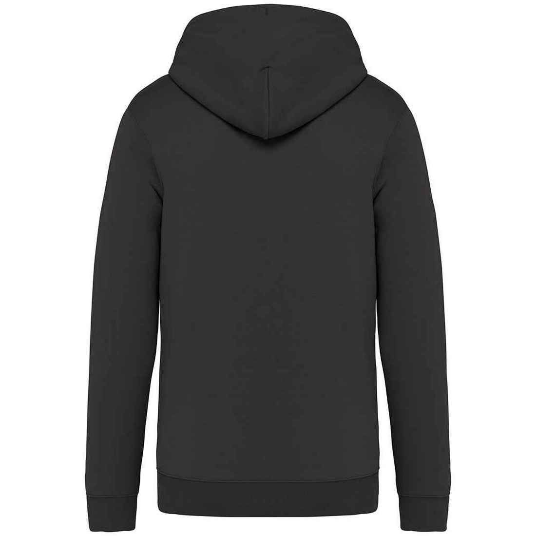 Iron Grey - Back - Native Spirit Unisex Adult Full Zip Hoodie