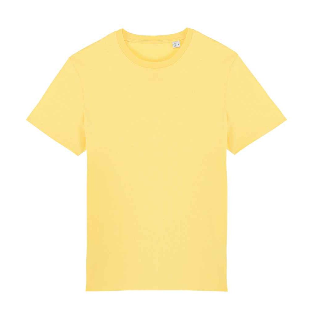 Pineapple - Front - Native Spirit Unisex Adult T-Shirt