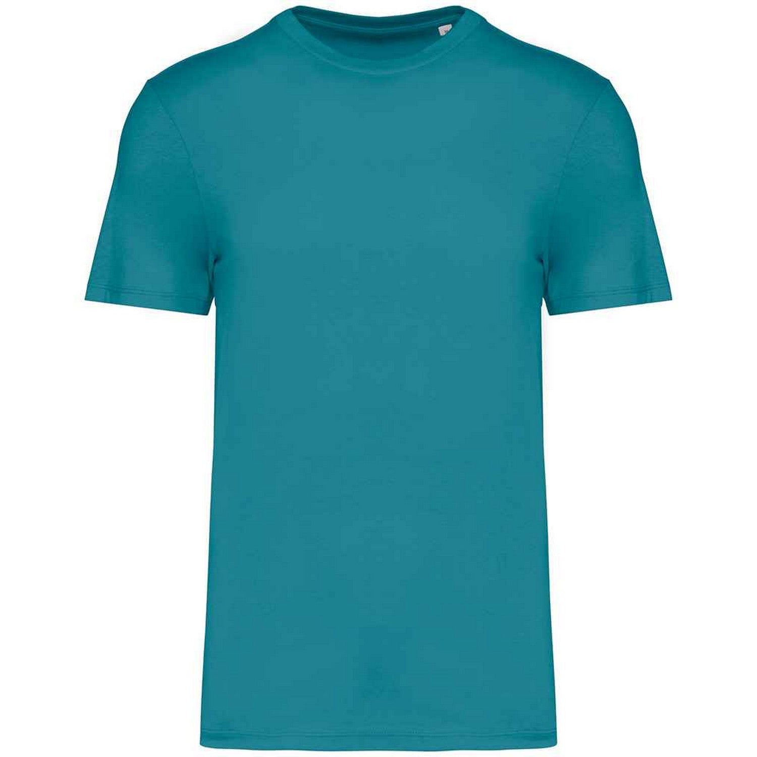 Adriatic Blue - Back - Native Spirit Unisex Adult T-Shirt