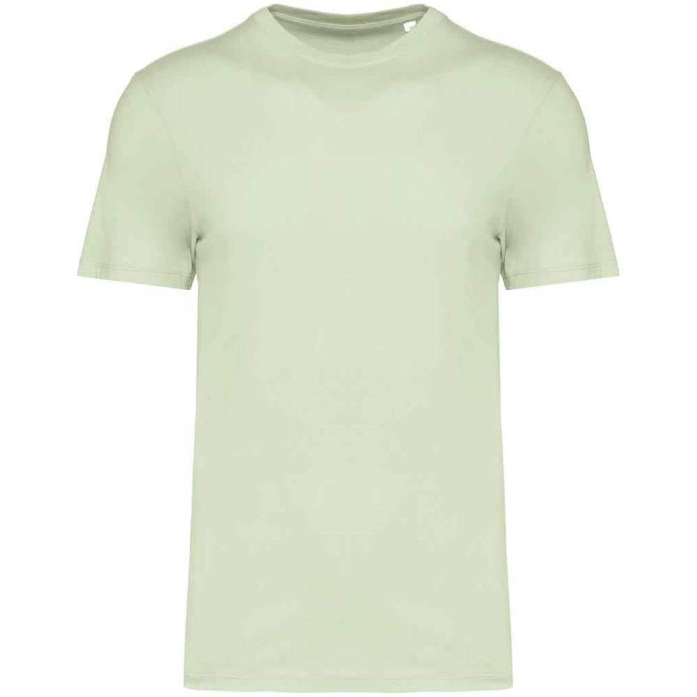 Celadon Green - Front - Native Spirit Unisex Adult T-Shirt