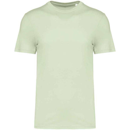 Celadon Green - Front - Native Spirit Unisex Adult T-Shirt