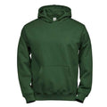 Forest Green - Front - Tee Jays Childrens-Kids Power Hoodie