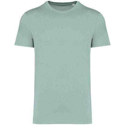 Jade Green - Front - Native Spirit Unisex Adult Heavyweight Slim T-Shirt