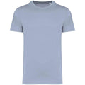 Aquamarine - Front - Native Spirit Unisex Adult Heavyweight Slim T-Shirt