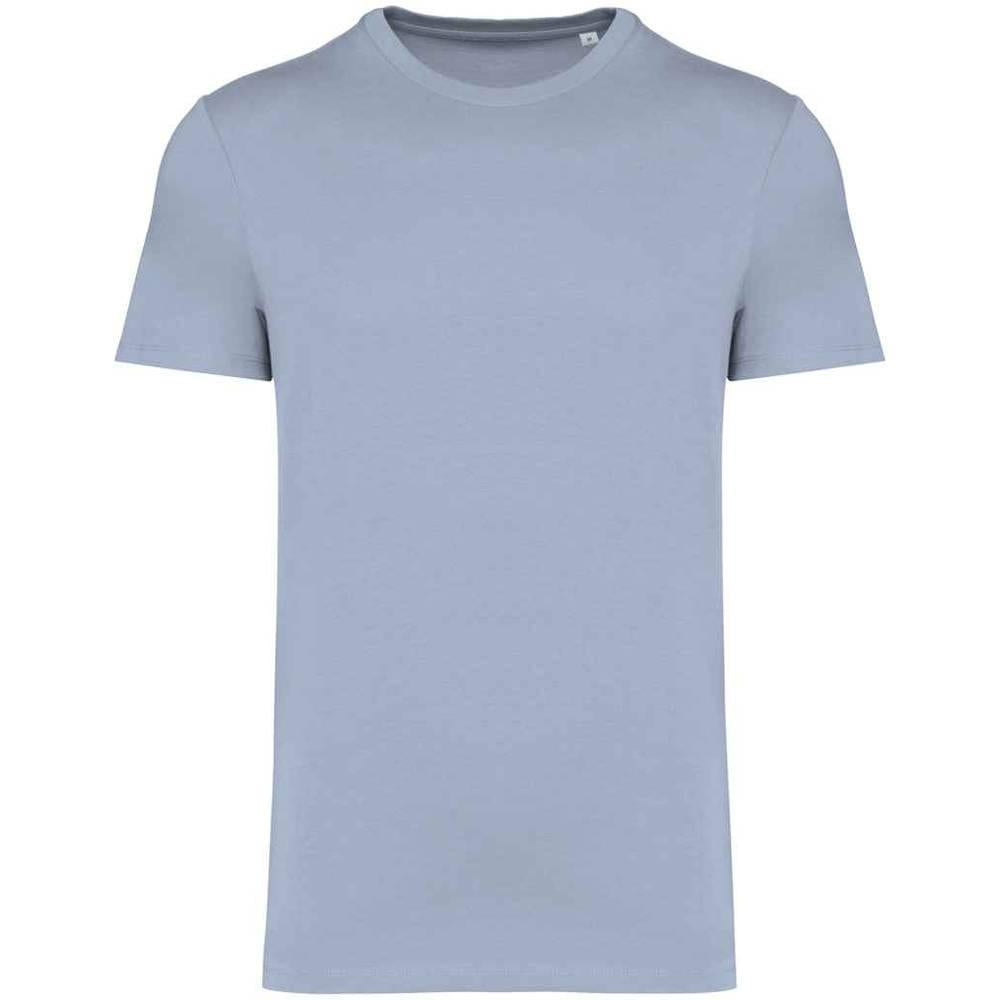 Aquamarine - Front - Native Spirit Unisex Adult Heavyweight Slim T-Shirt