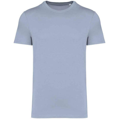 Aquamarine - Front - Native Spirit Unisex Adult Heavyweight Slim T-Shirt