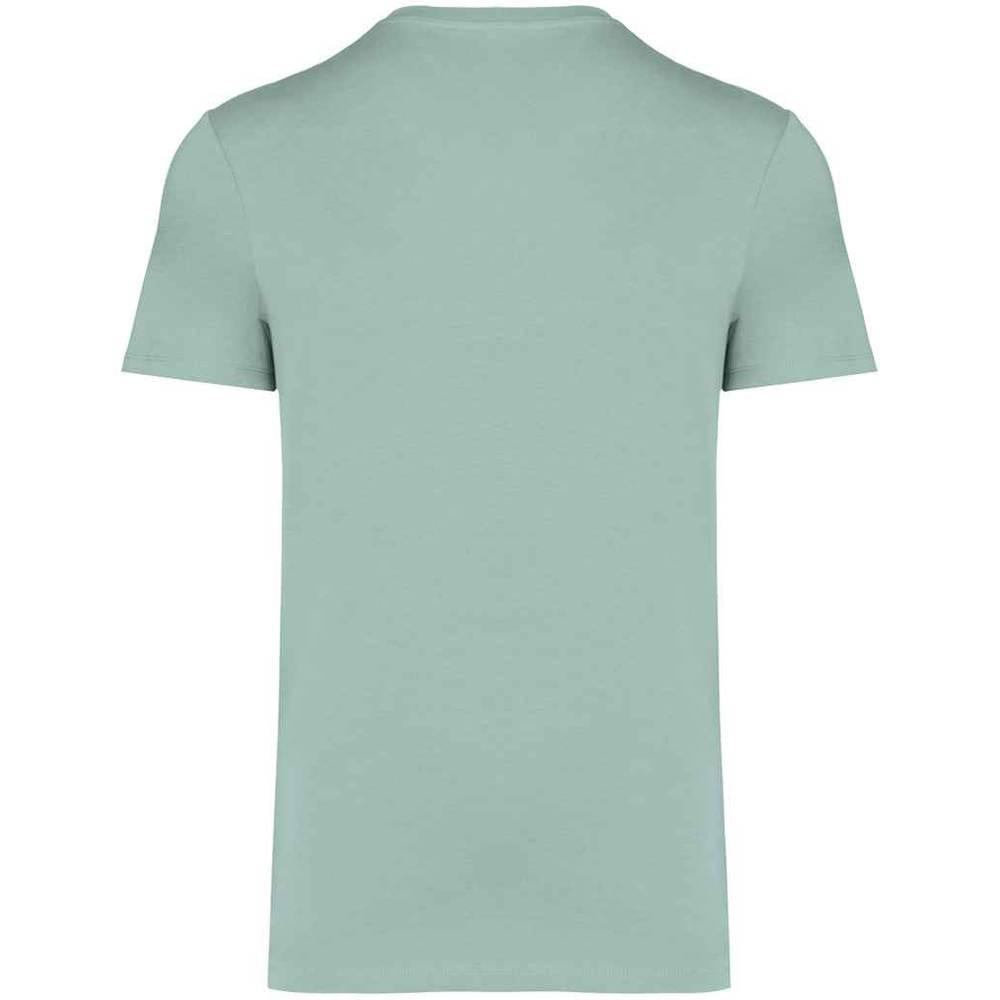 Jade Green - Back - Native Spirit Unisex Adult Heavyweight Slim T-Shirt