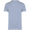 Aquamarine - Back - Native Spirit Unisex Adult Heavyweight Slim T-Shirt