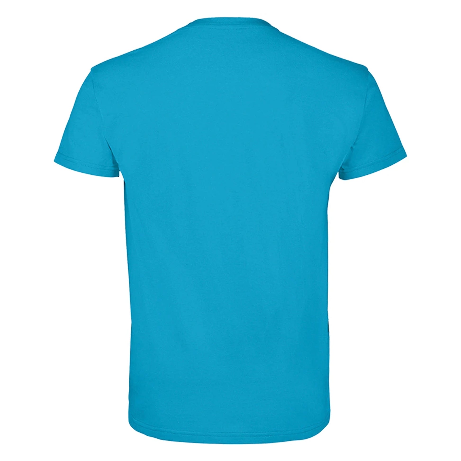 Aqua - Back - SOLS Mens Imperial T-Shirt