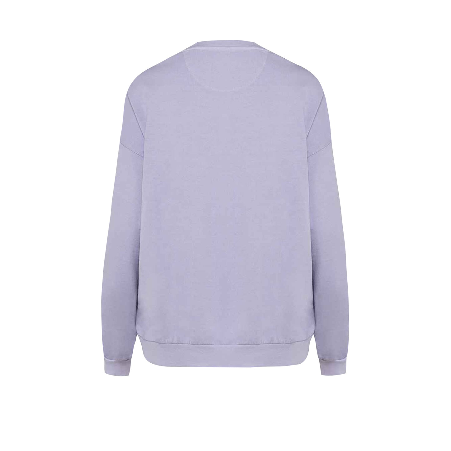 Washed Pomelo - Back - Native Spirit Unisex Adult Terrycloth Oversized Sweatshirt