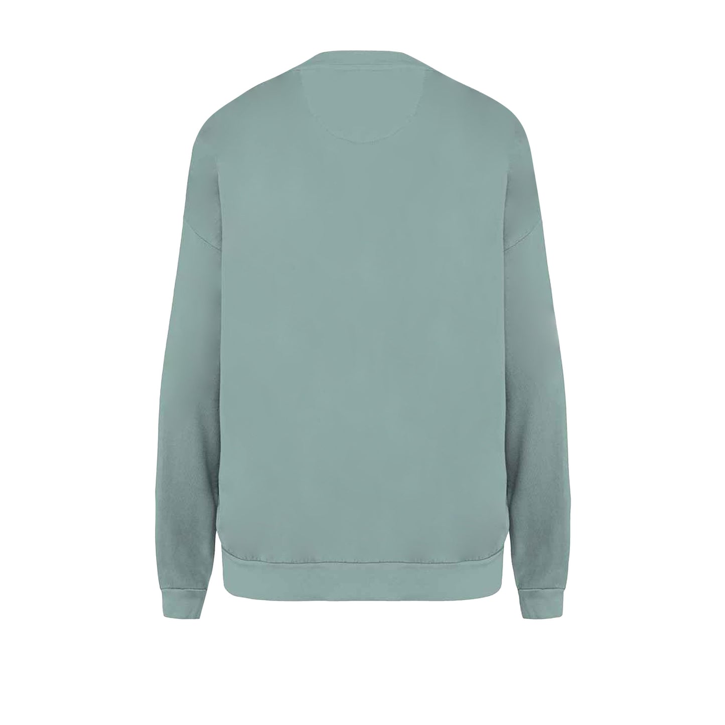 Washed Jade Green - Back - Native Spirit Unisex Adult Terrycloth Oversized Sweatshirt