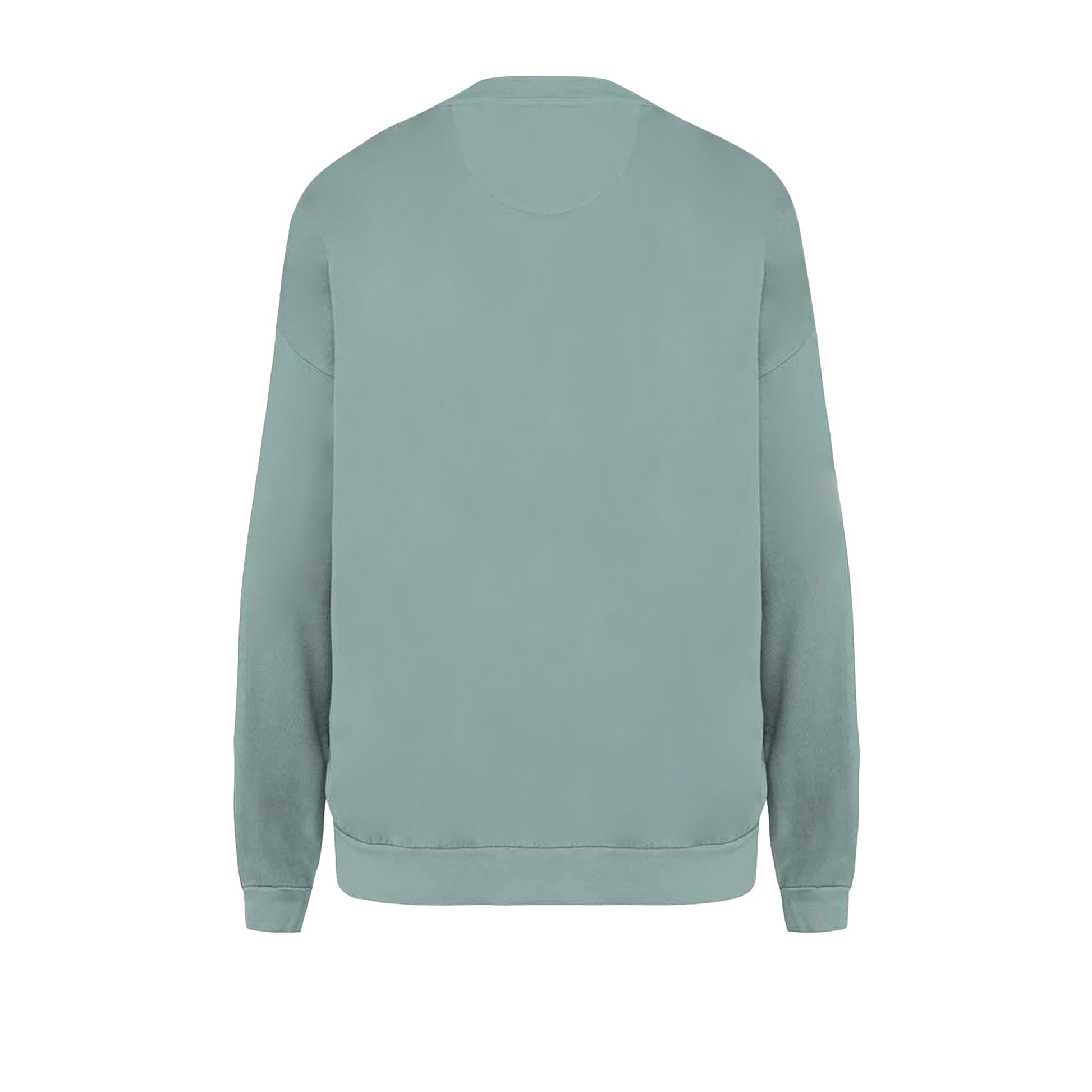 Washed Jade Green - Back - Native Spirit Unisex Adult Terrycloth Oversized Sweatshirt