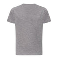 Heather Grey - Back - Awdis Childrens-Kids The 100 T-Shirt