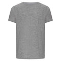 Heather Grey - Back - Awdis Childrens-Kids The 100 T-Shirt