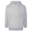 Heather Grey - Front - Ecologie Unisex Adult Crater Recycled Hoodie
