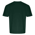 Green - Back - Ecologie Unisex Adult Arrow Recycled Heavy Oversized T-Shirt