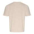 Stone - Back - Ecologie Unisex Adult Arrow Recycled Heavy Oversized T-Shirt