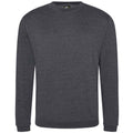 Solid Grey - Front - PRORTX Unisex Adult Pro Sweatshirt