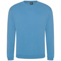 Sky Blue - Front - PRORTX Unisex Adult Pro Sweatshirt