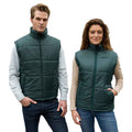 Bottle Green - Back - Result Core Unisex Adult Padded Body Warmer