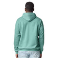 Aquatic - Back - Gildan Unisex Softstyle Midweight Hoodie