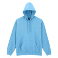 Sky Blue - Front - Gildan Unisex Adult Softstyle Hoodie