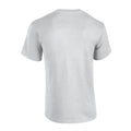 Ash - Back - Gildan Unisex Adult Plain Cotton Heavy T-Shirt