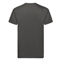 Light Graphite - Back - Fruit of the Loom Unisex Adult Super Premium Plain T-Shirt