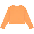Apricot - Back - Native Spirit Womens-Ladies Oversized Crop Sweatshirt