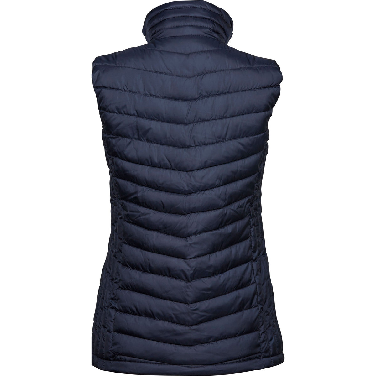 Deep Navy - Back - Tee Jays Womens-Ladies Zepelin Padded Body Warmer