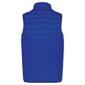 Light Royal Blue - Back - Kariban Mens Padded Body Warmer