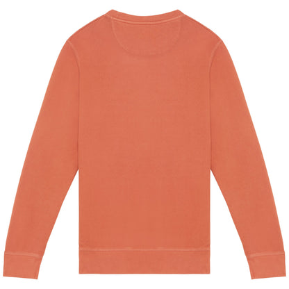 Washed Pomelo - Back - Native Spirit Unisex Adult French Terry Sweatshirt