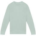 Washed Jade Green - Front - Native Spirit Unisex Adult French Terry Sweatshirt