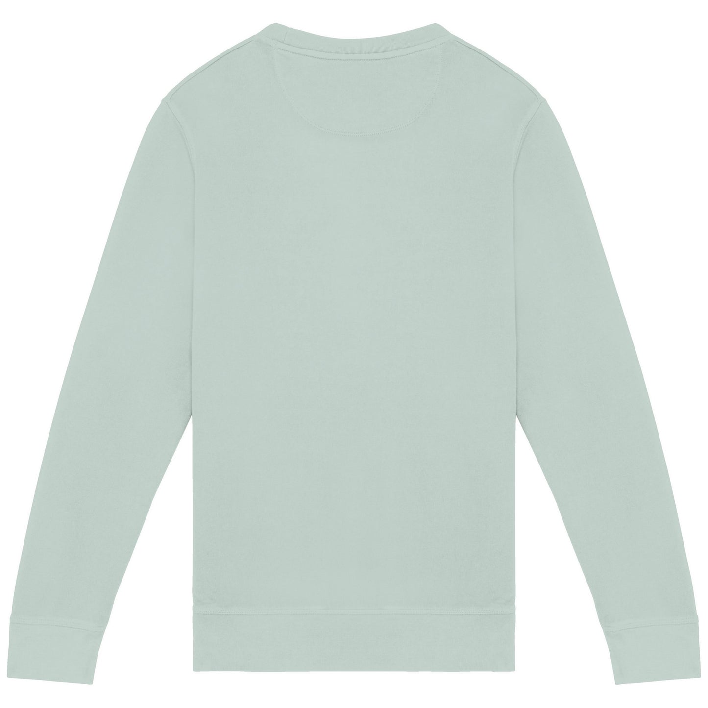 Washed Jade Green - Back - Native Spirit Unisex Adult French Terry Sweatshirt