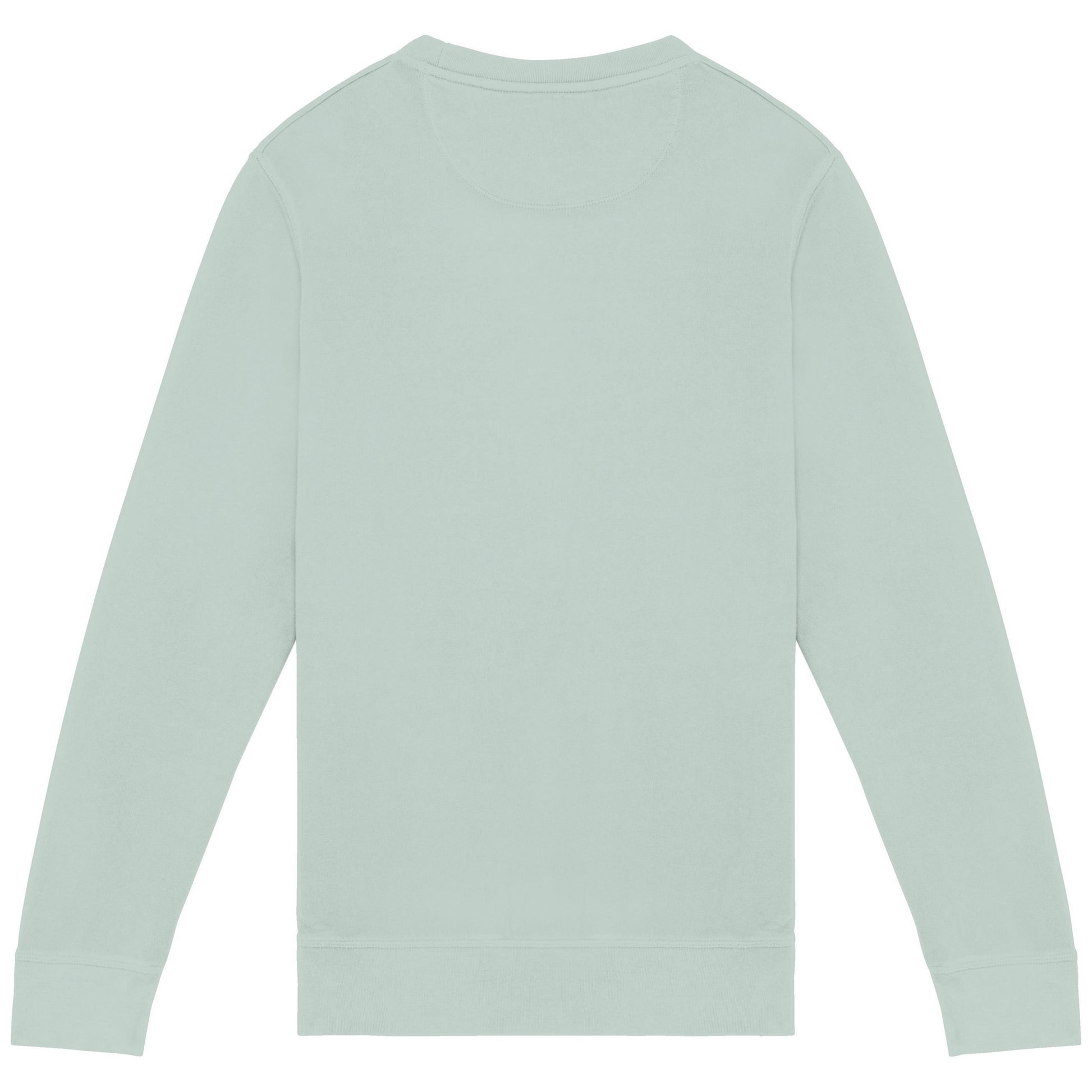 Washed Jade Green - Back - Native Spirit Unisex Adult French Terry Sweatshirt