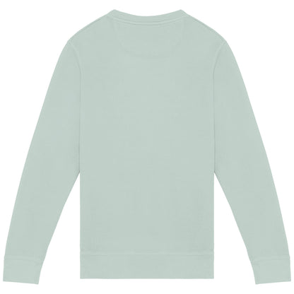 Washed Jade Green - Back - Native Spirit Unisex Adult French Terry Sweatshirt
