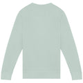 Washed Jade Green - Back - Native Spirit Unisex Adult French Terry Sweatshirt