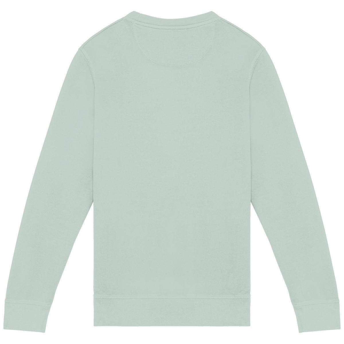 Washed Jade Green - Back - Native Spirit Unisex Adult French Terry Sweatshirt