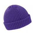Purple - Front - Result Winter Essentials Whistler Beanie