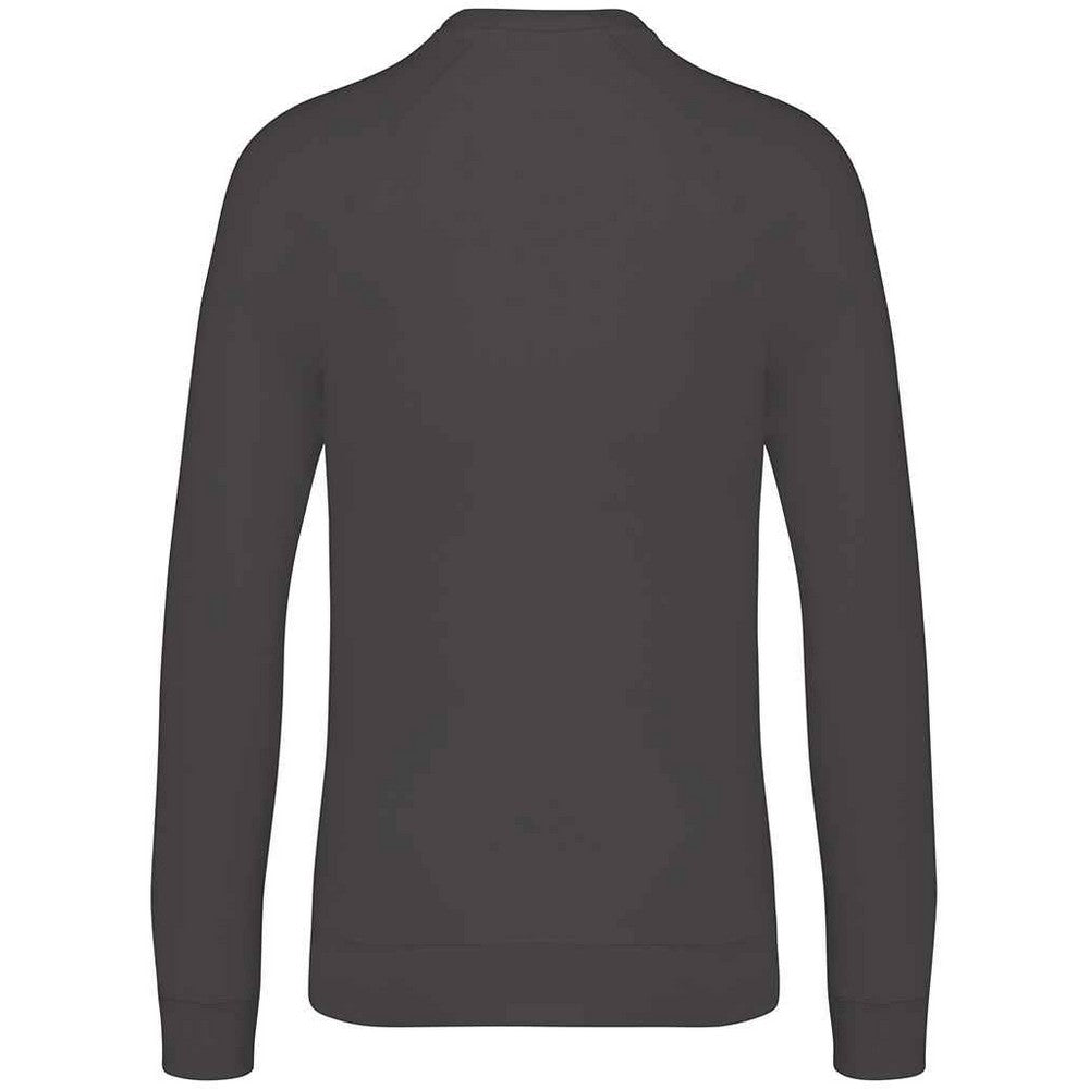 Iron Grey - Back - Native Spirit Unisex Adult Raglan Sweatshirt