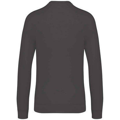 Iron Grey - Back - Native Spirit Unisex Adult Raglan Sweatshirt