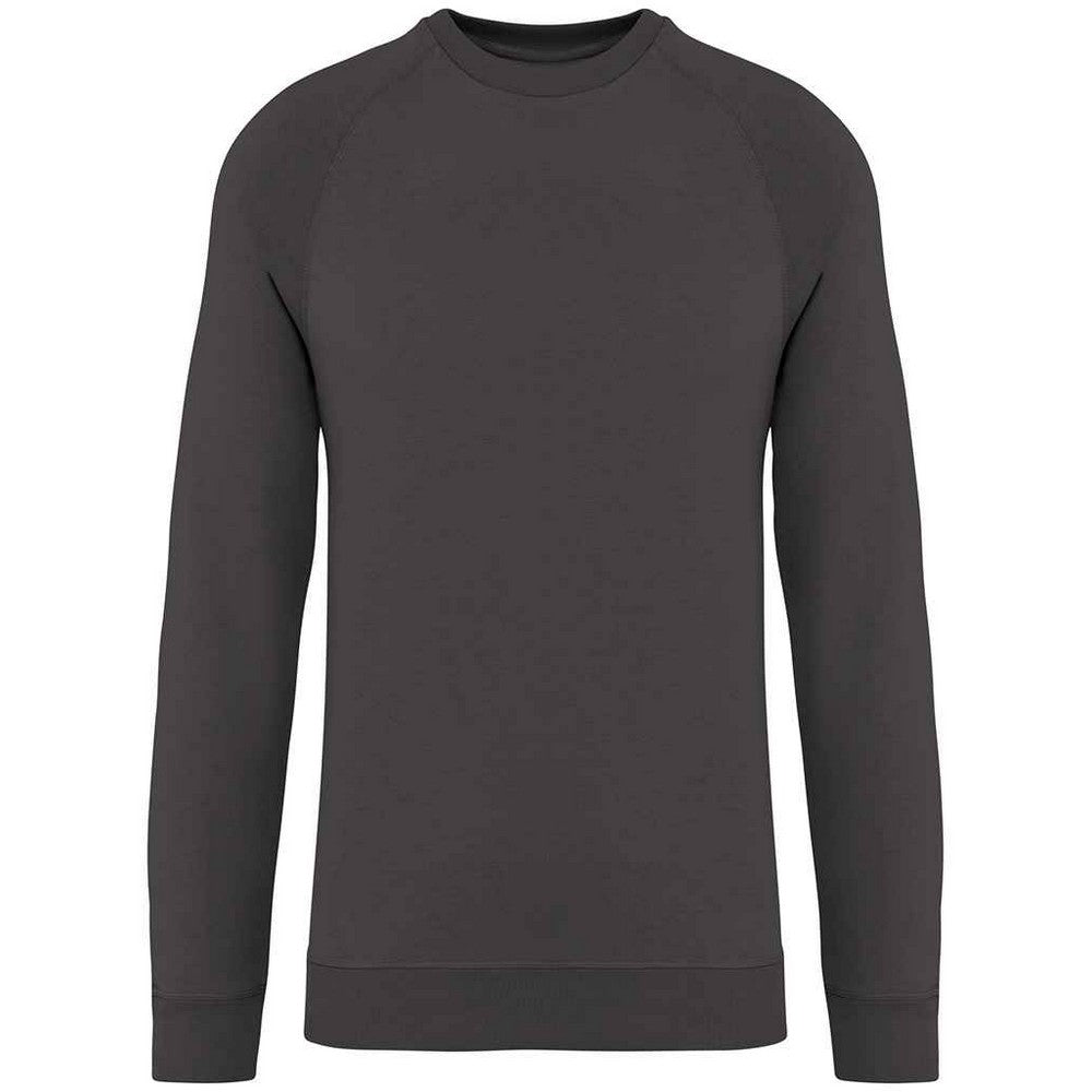 Iron Grey - Front - Native Spirit Unisex Adult Raglan Sweatshirt