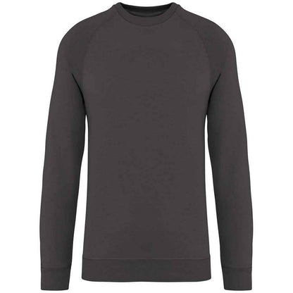 Iron Grey - Front - Native Spirit Unisex Adult Raglan Sweatshirt