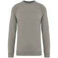 Almond Green - Front - Native Spirit Unisex Adult Raglan Sweatshirt