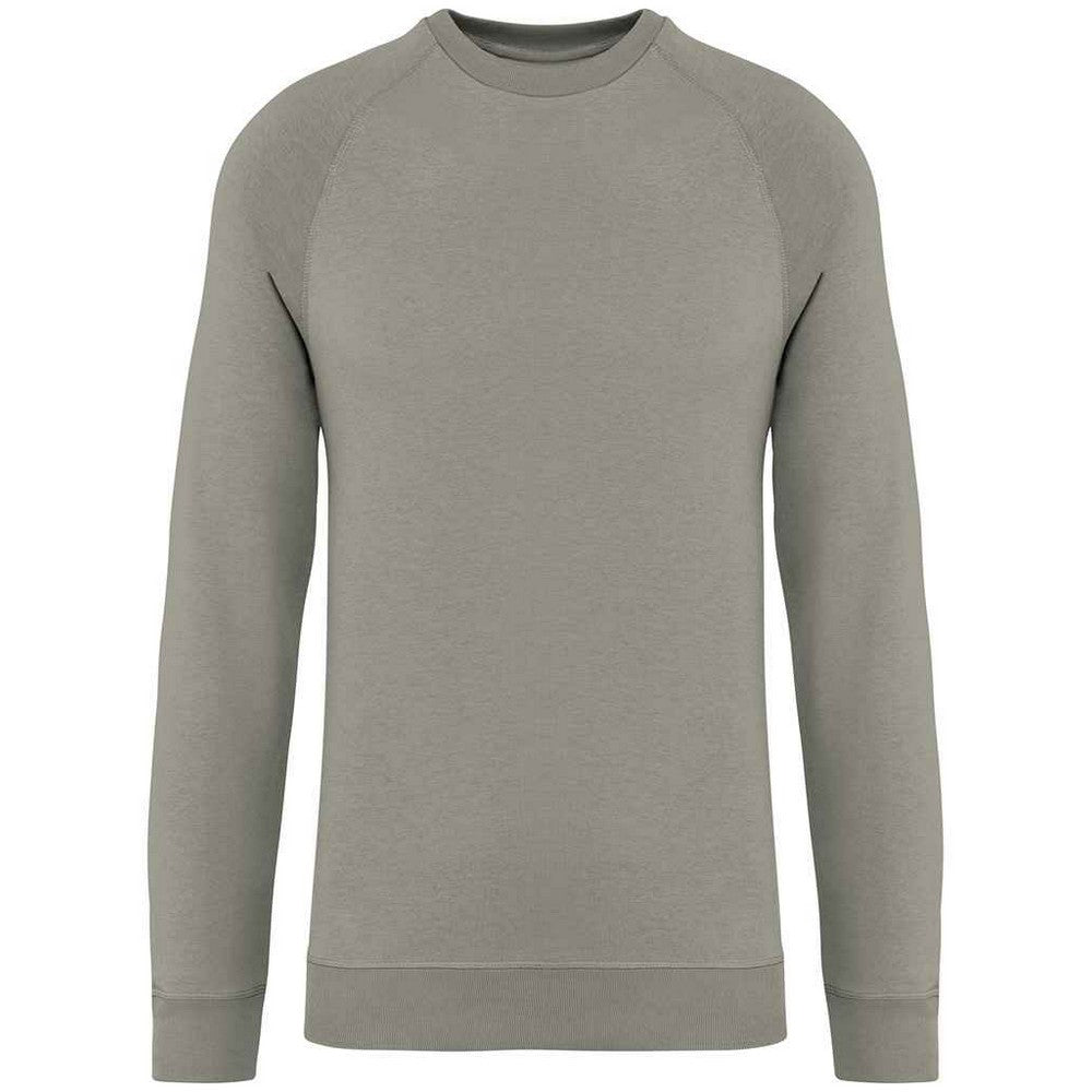 Almond Green - Front - Native Spirit Unisex Adult Raglan Sweatshirt