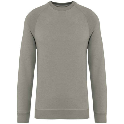 Almond Green - Front - Native Spirit Unisex Adult Raglan Sweatshirt