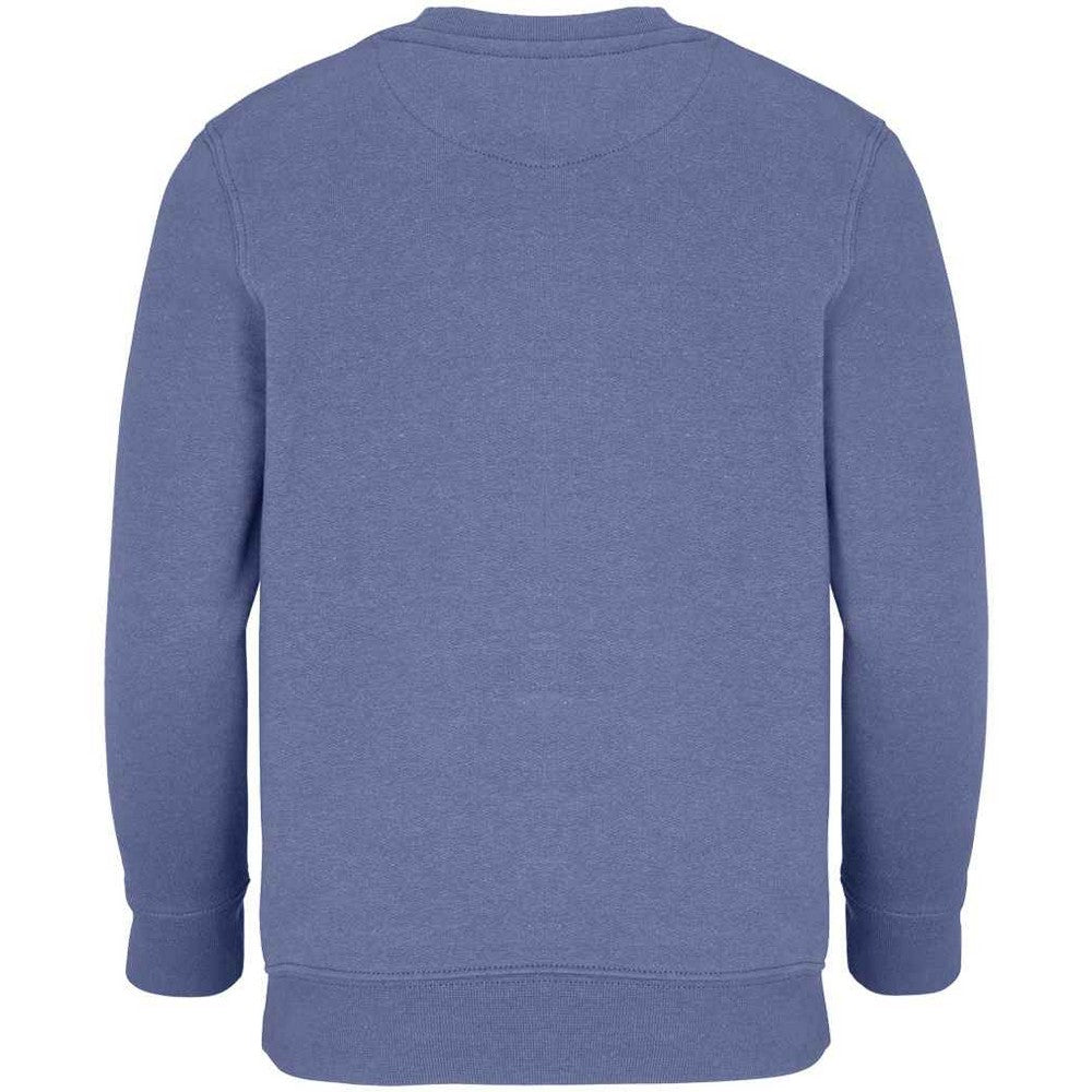 Blue - Back - SOLS Childrens-Kids Columbia Sweatshirt