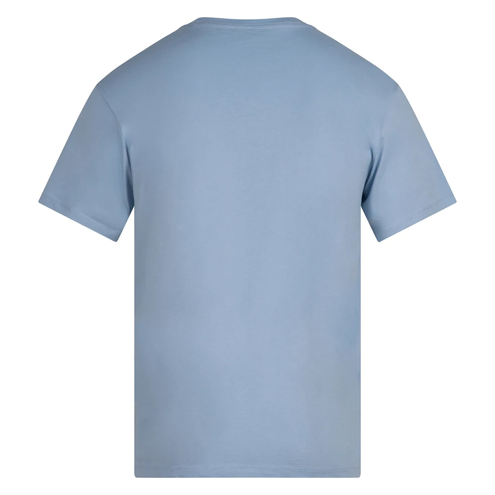 Light Blue - Back - Anthem Unisex Adult Organic Midweight T-Shirt
