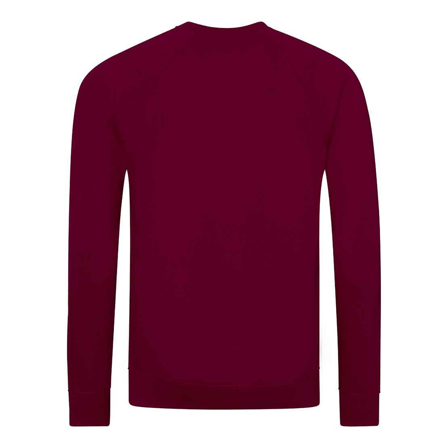 Burgundy - Back - Awdis Childrens-Kids Academy Raglan Sweatshirt