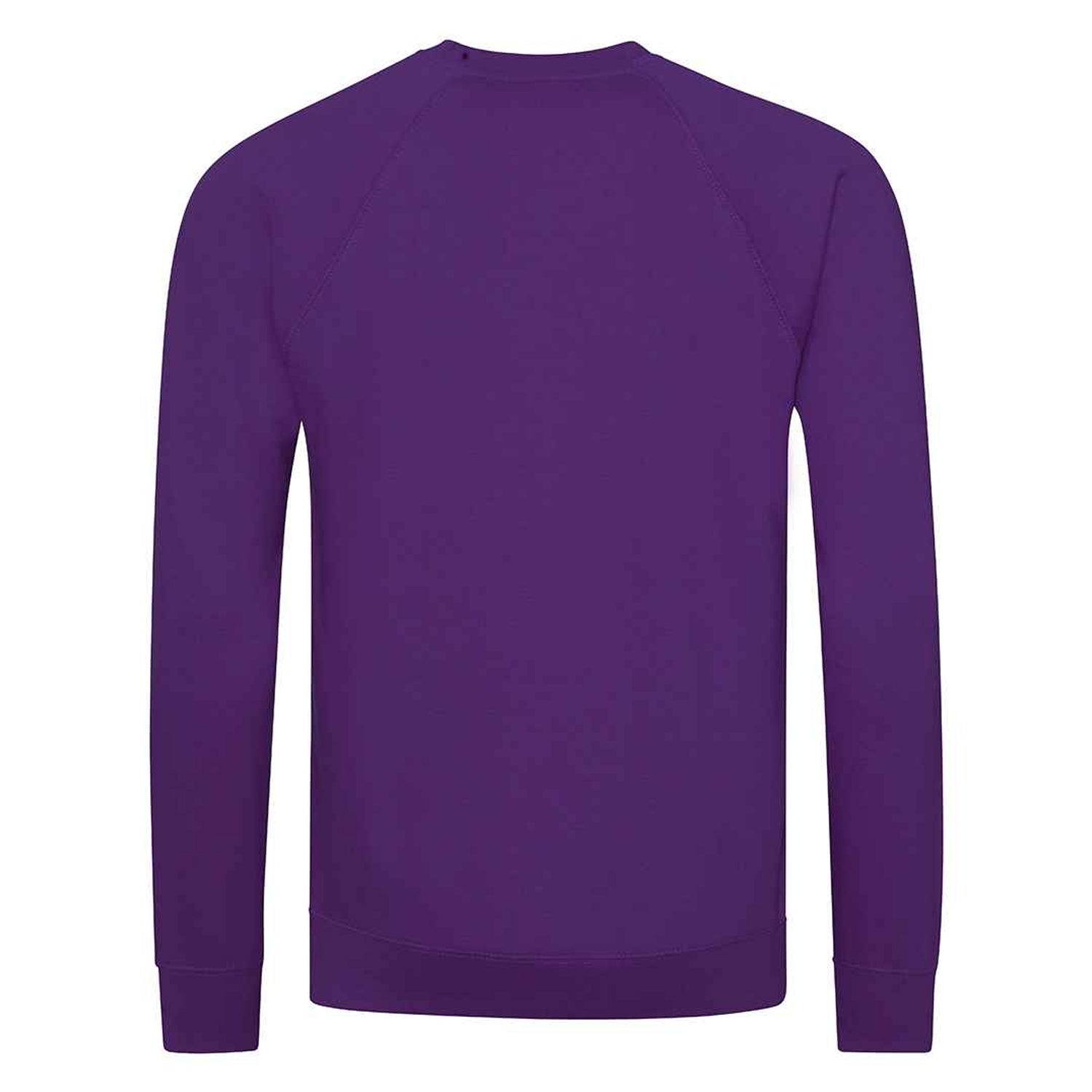 Purple - Back - Awdis Childrens-Kids Academy Raglan Sweatshirt